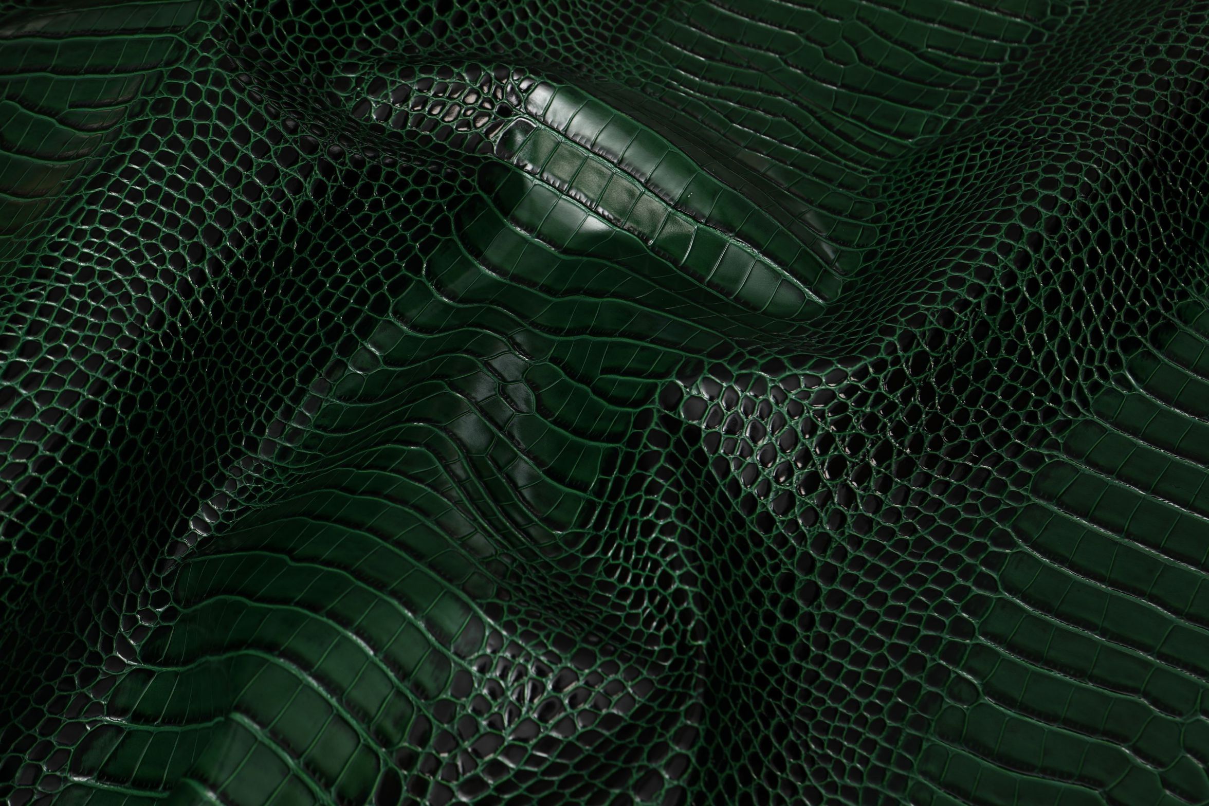 Crocodile pattern